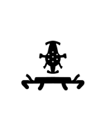 KASK-Ersatzpolster/ Schweissband Plasma